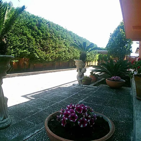Orchidea Nyaraló *