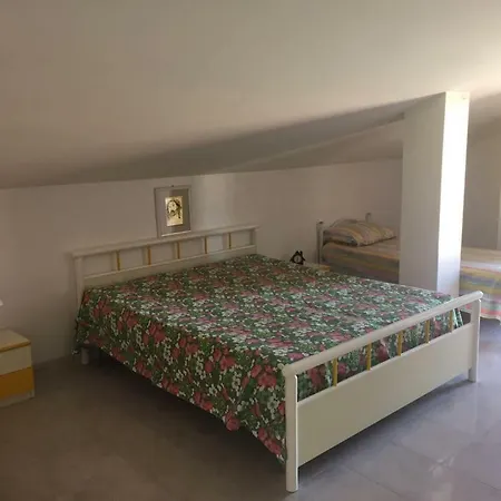 Orchidea Nyaraló *
