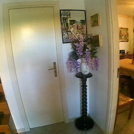 Orchidea Nyaraló